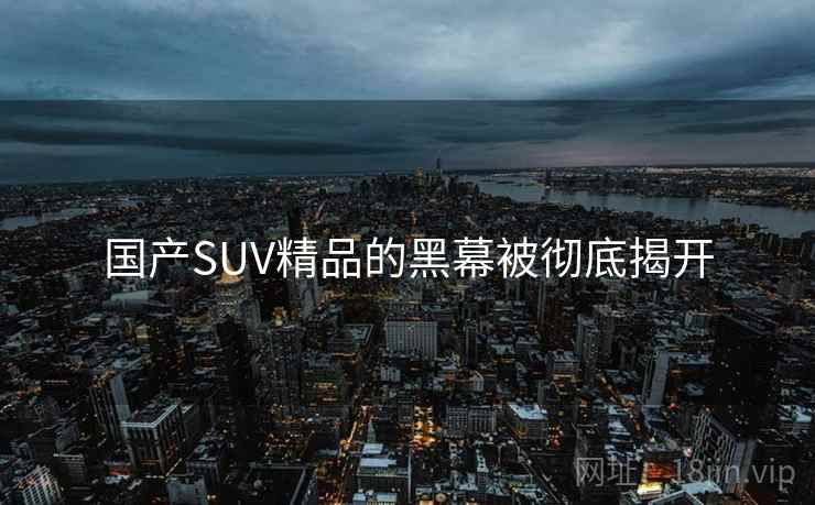 国产SUV精品的黑幕被彻底揭开