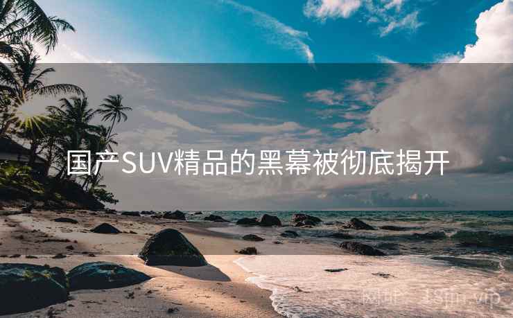 国产SUV精品的黑幕被彻底揭开