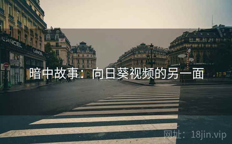 暗中故事：向日葵视频的另一面