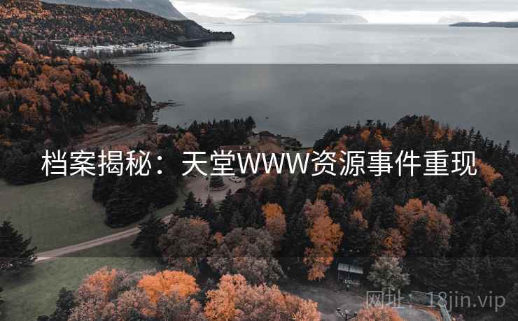 档案揭秘:天堂WWW资源事件重现