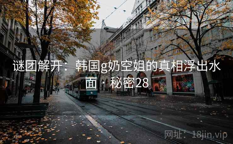 谜团解开:韩国g奶空姐的真相浮出水面 · 秘密28